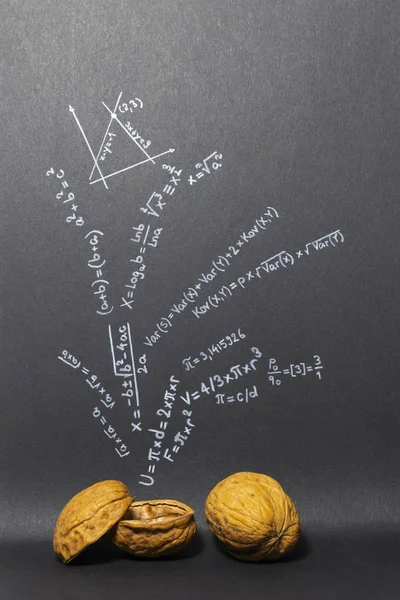 Concept of the phrase mathematics in a nutshell. Mathematical formulas drawn on black paper with walnuts