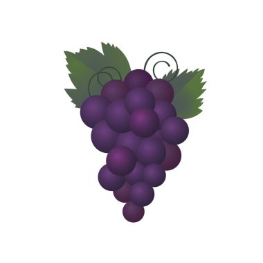 Bir demet mor üzüm. 