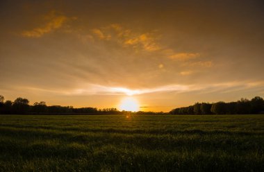 Altın gökyüzü güneş batmadan ve yeşil çim önünde birkaç bulutlar ile