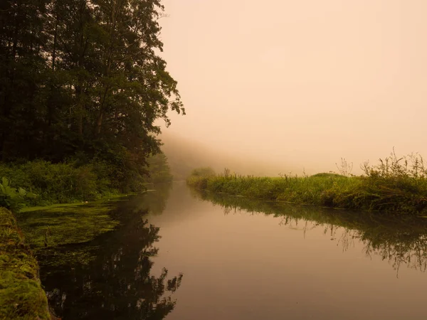 Sisli sabah su kenarındaki Kermisdahl Kleve, Almanya