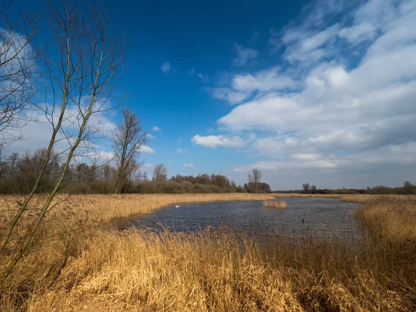 Kranenburger Bruch güneşli bir bahar 2016