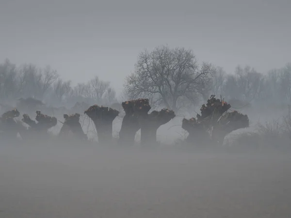 Туманний Пейзаж Дуже Холодний Ранок Січні — стокове фото