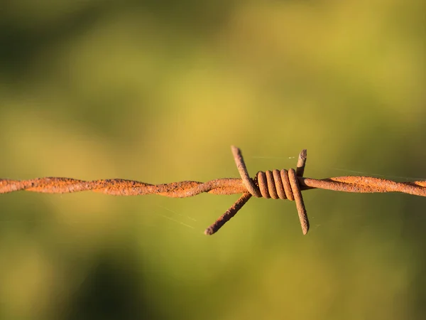 Old Rusty Barbed Wire Close Blurred Background — Stock Photo, Image