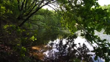 Lake Moyland, soldaki meşe ağaçları ve kıyı boyunca seyir kıyısında