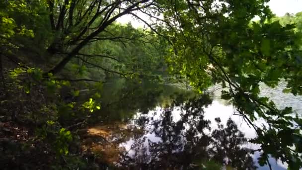 Sur Les Rives Lac Moyland Regardant Gauche Travers Les Chênes — Video