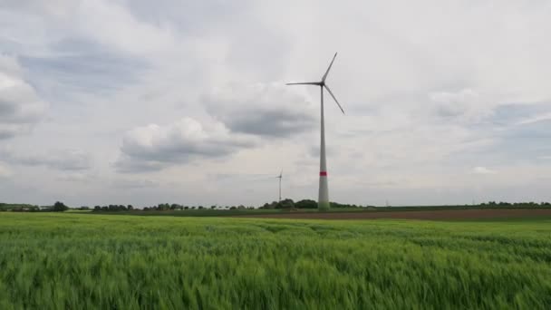オーディオなしの穀物のフィールドの後ろに強い風の つの風車 — ストック動画