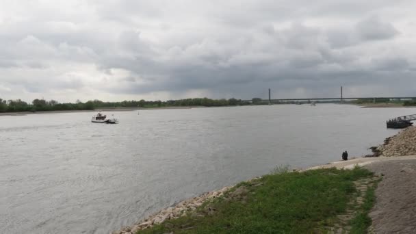 Veerboot Doorkruist Rijn Naar Steiger — Stockvideo