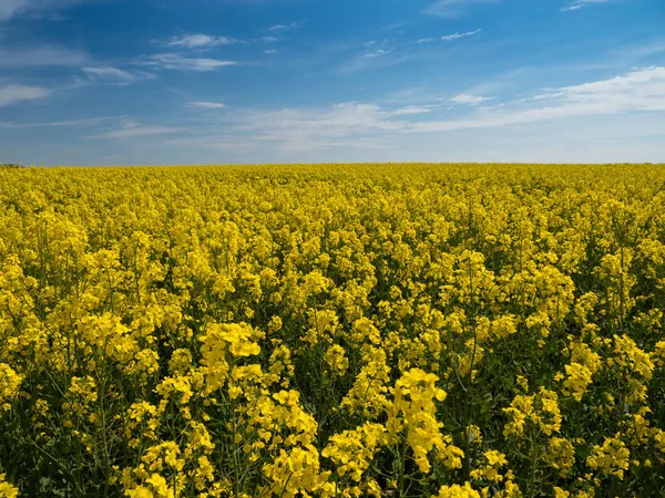 büyük tecavüz alan ve bazı bulutlar gökyüzü güneşli bir günde