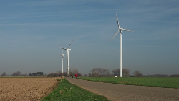 Trois Éoliennes Tournantes Des Promeneurs Sur Route — Video