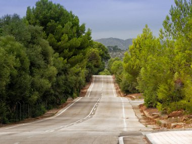 bulutlu bir günde çerçeveli ağaçlar ve çalılar mallorca engebeli yolda