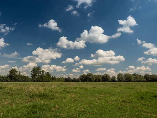 Łąka Las Niebieski Niebo Chmurami Lecie — Zdjęcie stockowe