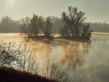 Gölde Altın ışık, bir sisli sabahı sunrise