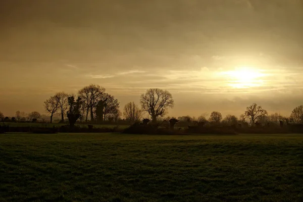 Sisli bir kış sabahı aşağı Ren manzara