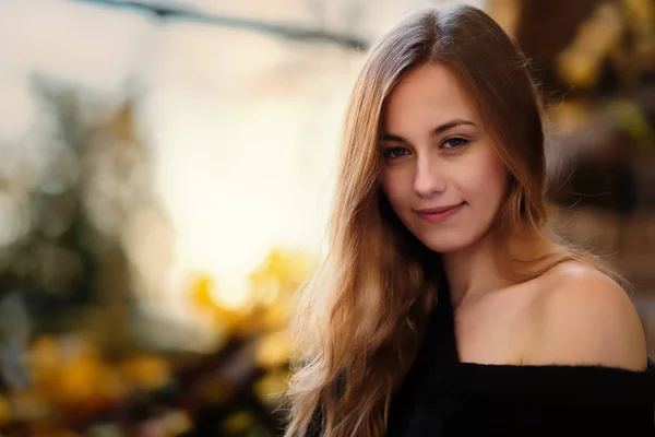 genç bir kadının portresi, sonbahar, karamsar renkler