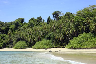 Tropikal Coibita Beach, aka Rancheria. Coiba Milli Parkı, Panama