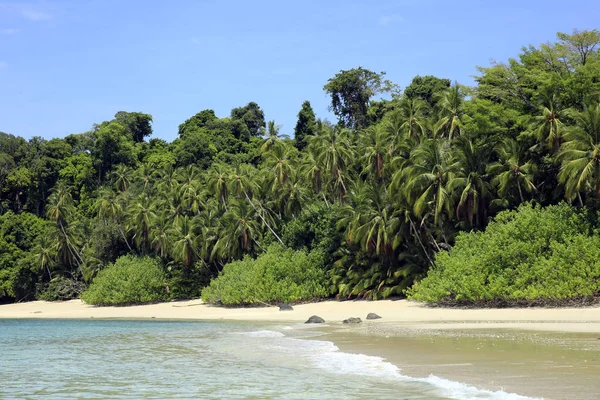 Tropická Pláž Coibita Aka Rancheria Národní Park Coiba Panama Royalty Free Stock Fotografie