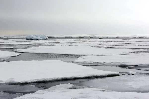 Ice Floes Water Spitsbergen Svalbard Norway — Stock Photo, Image