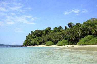 Tropikal Coibita Beach, aka Rancheria, Isla Coiba içinde belgili tanımlık geçmiş. Coiba Milli Parkı, Panama
