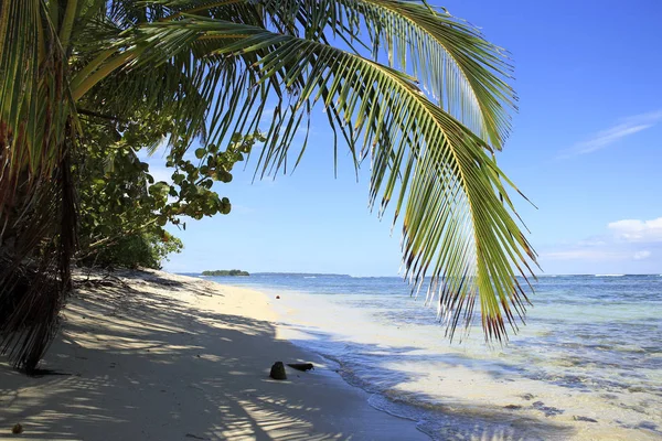 Praia Tropical Zapatilla Sur Bocas Del Toro Panamá — Fotografia de Stock