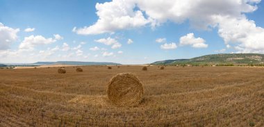  Çimleri biçilmiş samanlı yaz tarlası