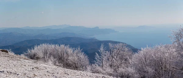 Arka planda dağ olan bir ağaç Kırım — Stok fotoğraf