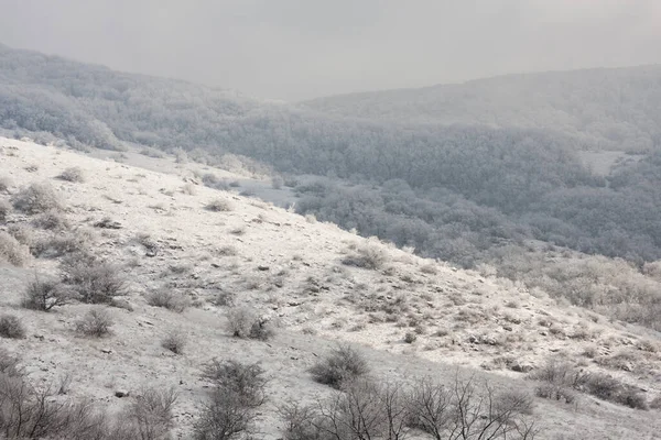 Kırım Cumhuriyeti 'nde Karlı Kış — Stok fotoğraf