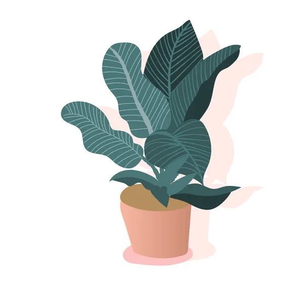 Potplant Vetstoffen Huisplanten Handgetekende Vectorillustratie Huis Indoor Plant Vector Cartoon — Stockvector