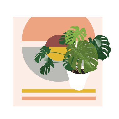 Saksı bitkisi. Sulu bitkiler ve ev bitkileri. El çizimi vektör çizimi. ev içi bitki vektör karikatürü.