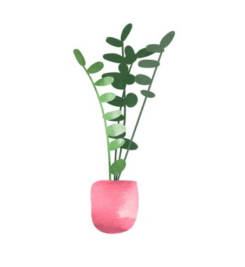 Saksı bitkisi. Sulu bitkiler ve ev bitkileri. El çizimi vektör çizimi. ev içi bitki vektör karikatürü.