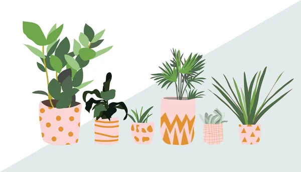 Planta Vaso Suculentas Plantas Casa Ilustração Vetorial Desenhada Mão Casa — Vetor de Stock