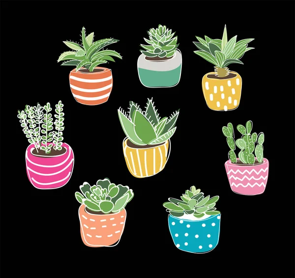 Planta Maceta Suculentas Plantas Casa Ilustración Vectorial Dibujado Mano Casa — Vector de stock