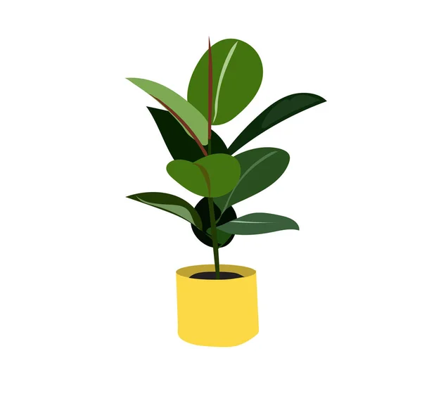 Pote Plantas Ilustração Vetorial Plantas Sala — Vetor de Stock