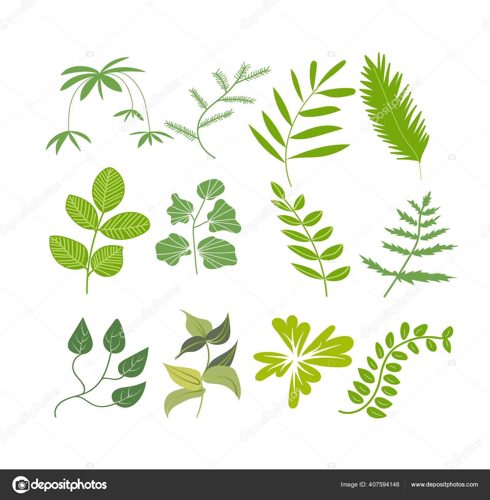 Flor Silvestre Prado Ilustration Vector Colección Elementos Florales ...