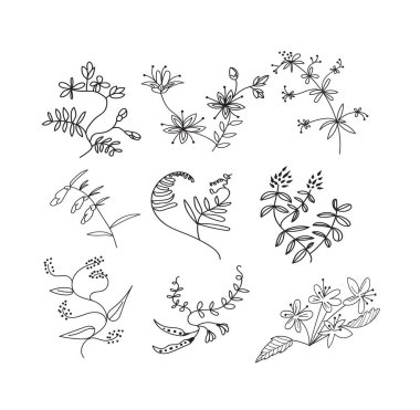 Botanik el çizimlerinin vektör koleksiyonu. Çayır bitkileri ve çiçek elementleri. Çiçek ve yaprakların kalem mürekkebi çizimi. Dekoratif elementler kümesi 