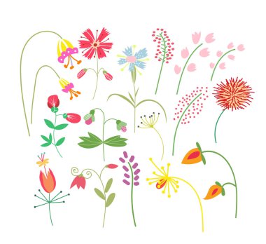 Vahşi çiçek çayırı illüstrasyonu. Çiçek toplayan vektör elementler. Romantik el çiçekleri ve yaprakları topladı. Botanik elementler koleksiyonu.