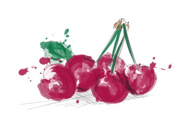 kiraz suluboya çizimi. Mürekkep serpiştirilmiş el yapımı kirazlar. Taze meyve.. 