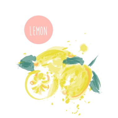 Limonlar suluboya resimleme. Vektör el çizimi. limon mürekkep serpme ve vahşi vuruşlar.