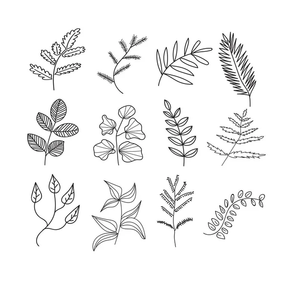 植物手绘涂鸦的矢量集合 草甸植物和花卉元素 铅笔墨素描的花朵和叶子 一套装饰元素 — 图库矢量图片