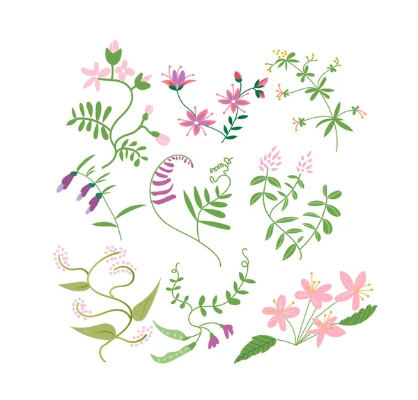 Wilde Blume Wiese Illustration Vector Florale Elemente Sammlung Romantische Handgezeichnete — Stockvektor