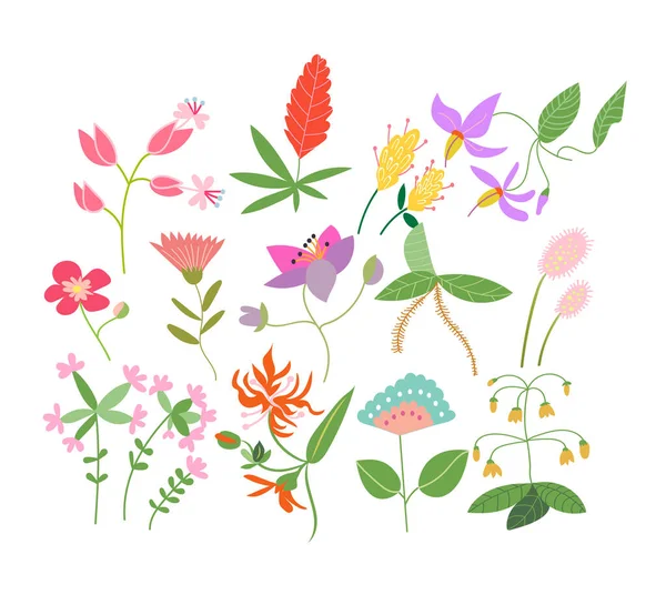 野花草甸图例 病媒植物元素收集 浪漫的手绘鲜花和树叶 植物学元素集合 — 图库矢量图片