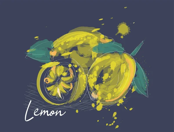 Illustrazione Acquerello Limoni Pittura Vettoriale Disegnata Mano Limone Con Inchiostro — Vettoriale Stock