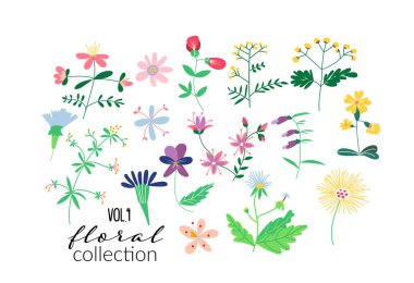 Vahşi çiçek çayırı illüstrasyonu. Bir takım çiçek elementleri. Romantik el çizimi çiçekler ve yapraklar koleksiyonu. 