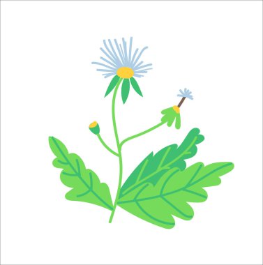 Vahşi çiçek çayırı illüstrasyonu. Bir takım çiçek elementleri. Romantik el çizimi çiçekler ve yapraklar koleksiyonu. 