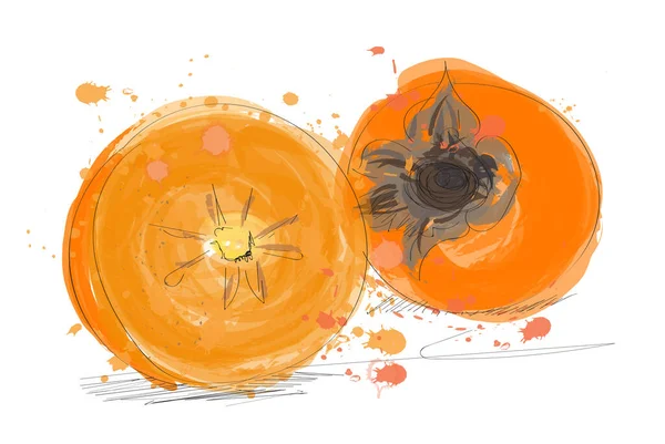 Illustrazione Acquerello Frutta Cachi Pittura Vettoriale Kaki Disegnata Mano — Vettoriale Stock