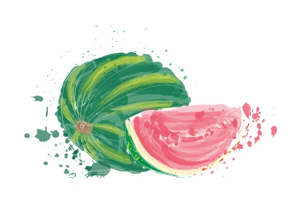 Sandía Acuarela Ilustración Vector Dibujado Mano Pintura Sandía Frutas Exóticas — Archivo Imágenes Vectoriales