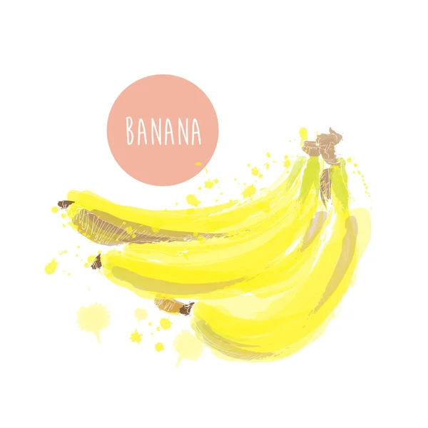 Vektor Aquarell Bananenillustration Handgezogene Banane — Stockvektor