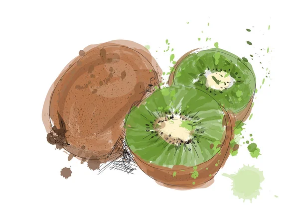 Illustrazione Kiwi Acquerello Mano Disegnato Vettore Pittura Kiwi Frutta — Vettoriale Stock