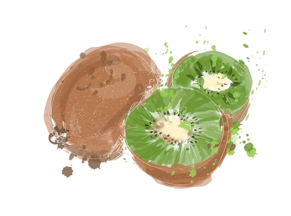 Illustrazione Kiwi Acquerello Mano Disegnato Vettore Pittura Kiwi Frutta — Vettoriale Stock
