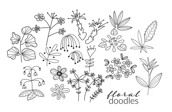 Vektorbotanische Handgezeichnete Doodles Wiesenpflanzen Und Blumenelemente Bleistiftzeichnung — Stockvektor