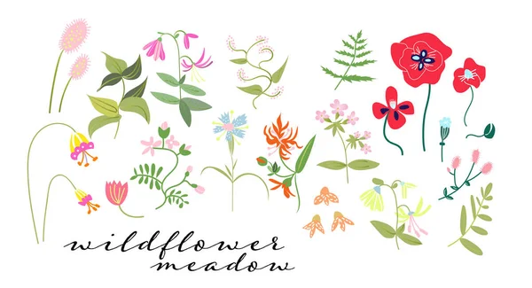 野生の花の牧草地イラスト 花の要素のセット ロマンチックな手描きの花や葉のコレクション — ストックベクタ